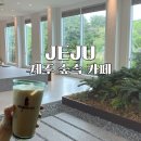 숲속맑은꼴 | 제주 애월 신상 카페 블랙이쉬레드 숲속에 들어있는 힐링 스팟