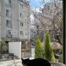 곰승마 손세차장 이미지