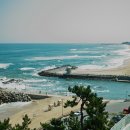 동해바다 이미지