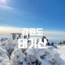 제47차)정기산행/1월11일(토)강원도/태기산&#34;눈꽃산행&#34;좌석방 이미지