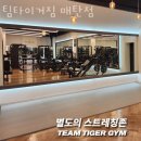 팀타이거짐 이미지