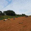 시온농장 이미지