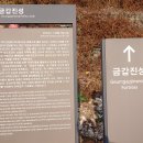 설진목장 티스토리