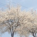 연양체육공원 이미지