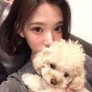 쮸