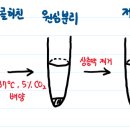 A260 | [생물 임용 노트]유전자 클로닝과 실험기법 - 6) 분자 생물학적 실험 방법 : 핵산의 분리와 정량, FRET...
