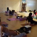 테라피 요가B 이미지