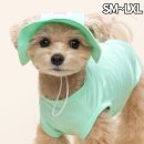 민트파파 이미지