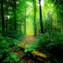 솔밭근린공원 이미지