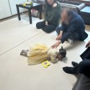 절세하랑