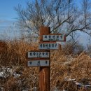 화학산등산로 이미지