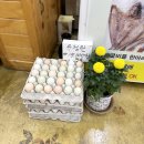 참살이촌 | 순천 보리굴비가 맛있는 참살이촌! 내돈내산후기