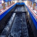 조부장바다낚시터 이미지