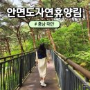 7/12(일) 서해의 하와이 .. [가의도 섬트레킹] 당일 이미지