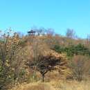 백세공원2 이미지