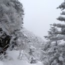 [산행취소]지리산 천왕봉(1950m)산행안내 이미지