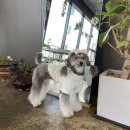 성내세차장 이미지