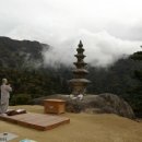 김신기 이미지