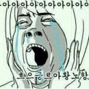 센텀투어