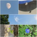 전호농장 | 울부짖음(앨런 긴즈버그)_250903(수)