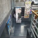 NEW보잉보잉 | 대학로 코메디 연극 "뉴보잉보잉 1탄" 후기