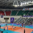 국제체육관 | 진주국제여자배구대회 진주실내체육관 직관 후기(일본 VS 체코)