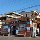 방어축제거리 | 제주 모슬포항 방어축제의거리 부두식당 특대방어 내돈내산