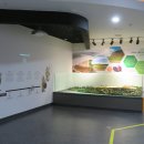 고랑포구역사공원 이미지