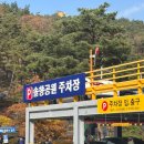 말티가는길 | 충북 보은 가볼 만한 곳 속리산 테마파크 모노레일 주차장 및 이용 방법 탑승 및 카페 후기