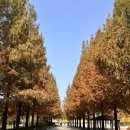 동부순환로4 | 내 손을 잡고 다 잘 될 거라고 말해줘