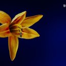 의료법인 참사랑재단 참사랑요양병원 | 남양주요양원 참사랑요양원 부모님을 위한 최선의 선택