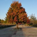 출판도시길 이미지