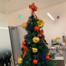 바디플러스 이미지