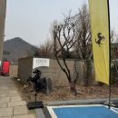 우리들애견 | 남양주 여행 | 애견동반 카페 로이테 야외석 내돈내산 후기