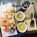 내돈내산 시원스쿨 진짜학습지_스페인어 패키지 16일차 후기