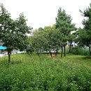 어울림공원 앞 이미지