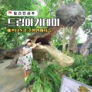 필리핀 세부 한달 어학연수 초등학생 가족후기 드림아카데미