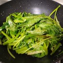 모닝글로리 티스토리