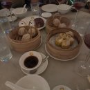 콩(KONG) | 2026. 03 | HONG KONG