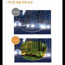 전대안경 이미지