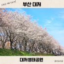 GS25 대저생태공원점 | 부산 대저생태공원 벚꽃축제 실시간 개화 4월 5일 벚꽃길 명소 주차장