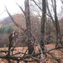 직지문화모티길 이미지