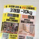 수지핏점핑다이어트