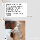 [안양.범계.평촌.광명.관악]빵야빵야 베이커리 &#39;마블마카롱케이크&#39;구매후기