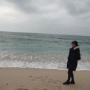인제주카페 이미지