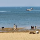 방게 민박 이미지