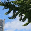 더밸런스짐 | 안암 pt 더밸런스짐 24시 헬스장 운동 추천