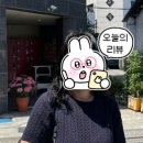 도그살롱올치 | 광안리 염색 잘하는 곳 &lt; 블랑드살롱 수영광안점 &gt; 상민 디자이너 (feat. 부산 상한 머리 복구)