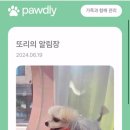 방긋웃개 이미지