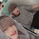 스노우즈 이미지